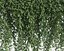 Climbing Plants Collection (+GrowFX)