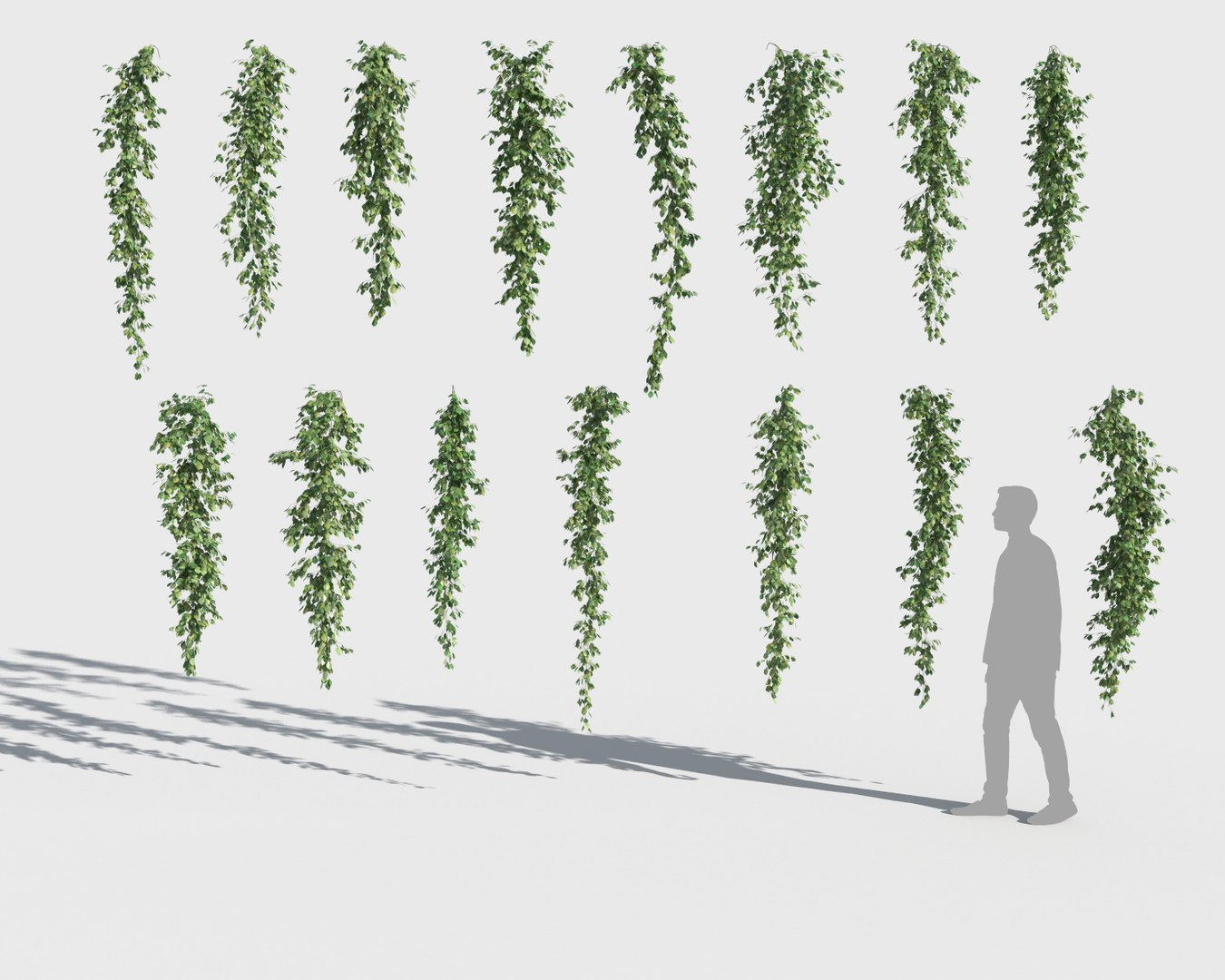 3D climbing plants https://p.turbosquid.com/ts-thumb/a5/r2BJQg/nYBhjRq0/clplants9/jpg/1502265504/1920x1080/fit_q87/7545425fdda7f102f351839b3449ce50f078ca7d/clplants9.jpg