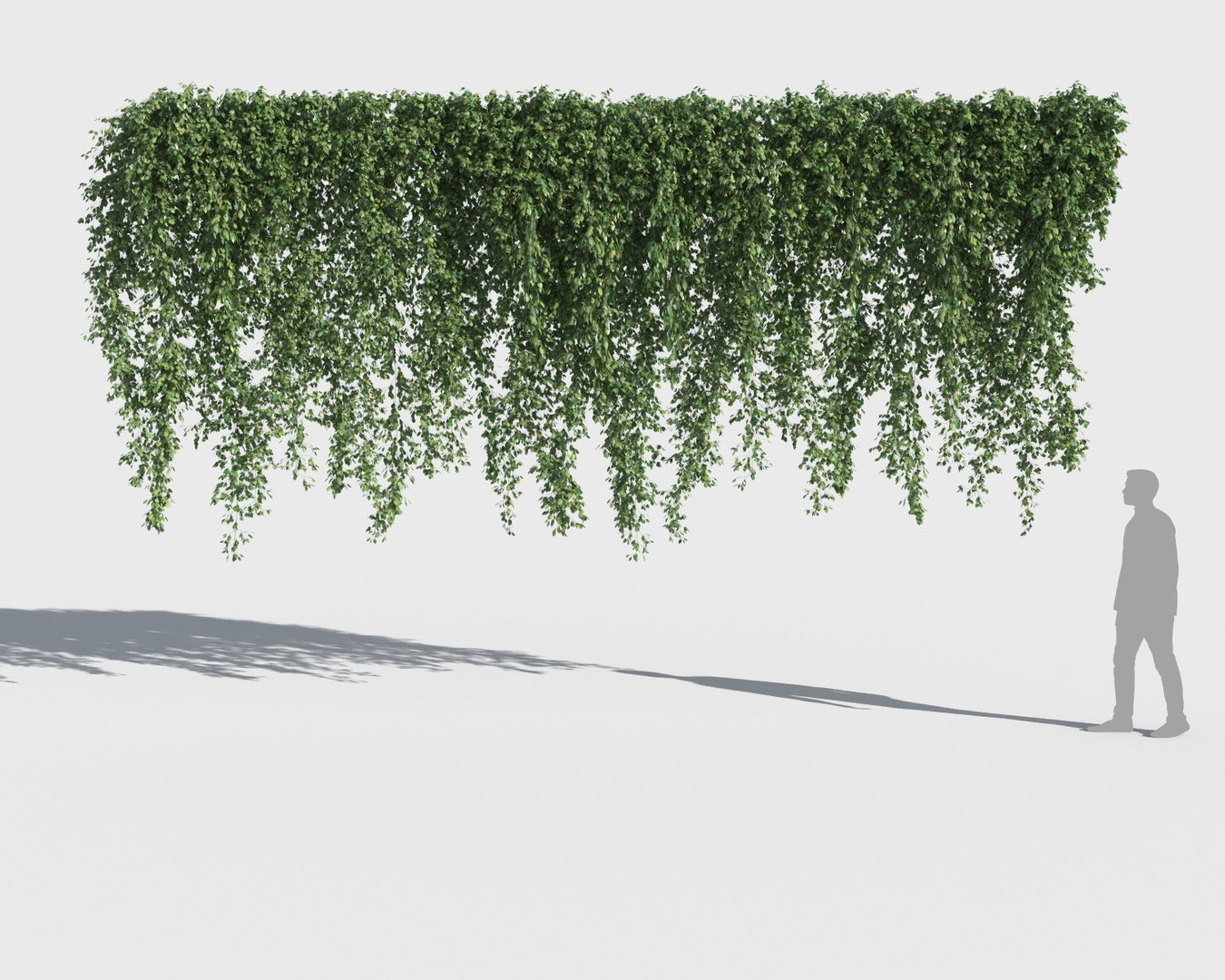 3D climbing plants https://p.turbosquid.com/ts-thumb/a5/r2BJQg/o6Jsw3kB/clplants12/jpg/1502265516/1920x1080/fit_q87/1b794a159756519444932134966c974940cc3bba/clplants12.jpg
