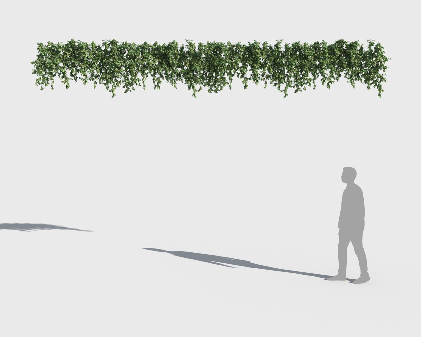 3D climbing plants https://p.turbosquid.com/ts-thumb/a5/r2BJQg/qRFf9NQj/clplants6/jpg/1502265486/1920x1080/fit_q87/584fcefa19e21dc0feac8a76e447758644afa33b/clplants6.jpg
