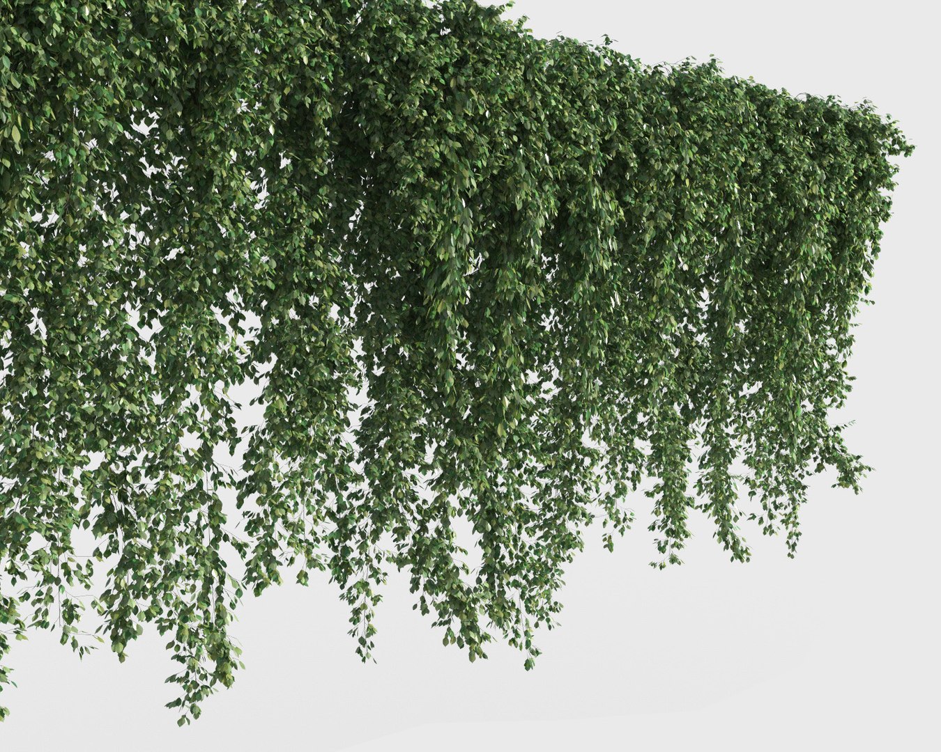 3D climbing plants https://p.turbosquid.com/ts-thumb/a5/r2BJQg/rySFYm5y/clplants3/jpg/1502265482/1920x1080/fit_q87/4b43862f45c0656b9b1929ed6204541ca65c3809/clplants3.jpg