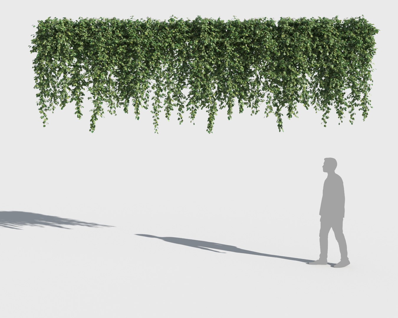 3D climbing plants https://p.turbosquid.com/ts-thumb/a5/r2BJQg/tXQeUici/clplants10/jpg/1502265504/1920x1080/fit_q87/ff92492f6ec3ffeae6512a9fcc22161cabfe4935/clplants10.jpg