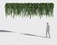 Climbing Plants Collection (+GrowFX)