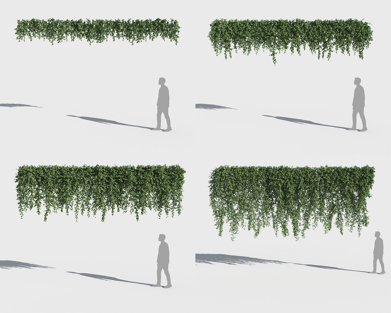 3D climbing plants https://p.turbosquid.com/ts-thumb/a5/r2BJQg/yD3qWvgx/clplants2/jpg/1502265458/1920x1080/fit_q87/0f77633f95dbffb55ca76edd2965f41e1374b78d/clplants2.jpg