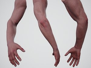 First Person Arms - 1