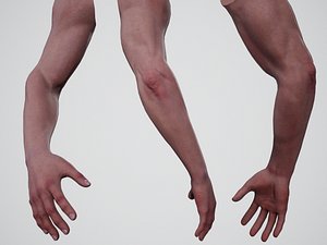 First Person Arms - 1