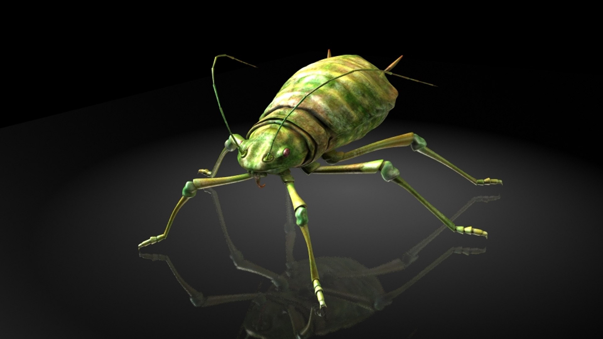 aphids larvae insects model https://p.turbosquid.com/ts-thumb/a5/vEcTFI/WzrNL2sZ/4/jpg/1536134025/1920x1080/fit_q87/31e29db3aeb235f160b9fdae49608c7ff50a737f/4.jpg