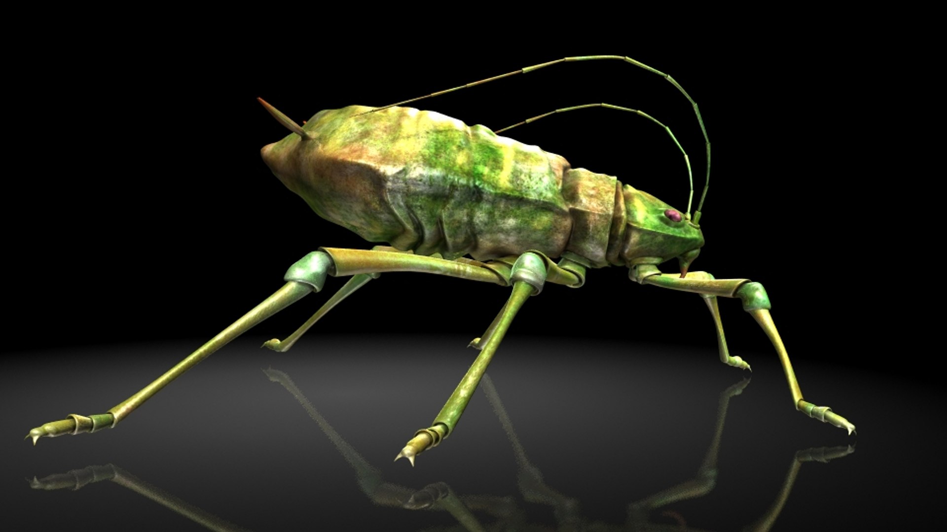 aphids larvae insects model https://p.turbosquid.com/ts-thumb/a5/vEcTFI/nUo87bd8/3/jpg/1536133987/1920x1080/fit_q87/e21c14ab700d2e307ab088f20631840cd6568883/3.jpg
