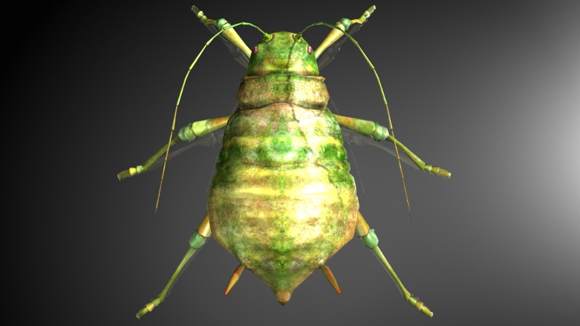 aphids larvae insects model https://p.turbosquid.com/ts-thumb/a5/vEcTFI/w5iHGB7z/2/jpg/1536133952/1920x1080/fit_q87/0a77870e08fec77010892051b4e167b8fe313080/2.jpg