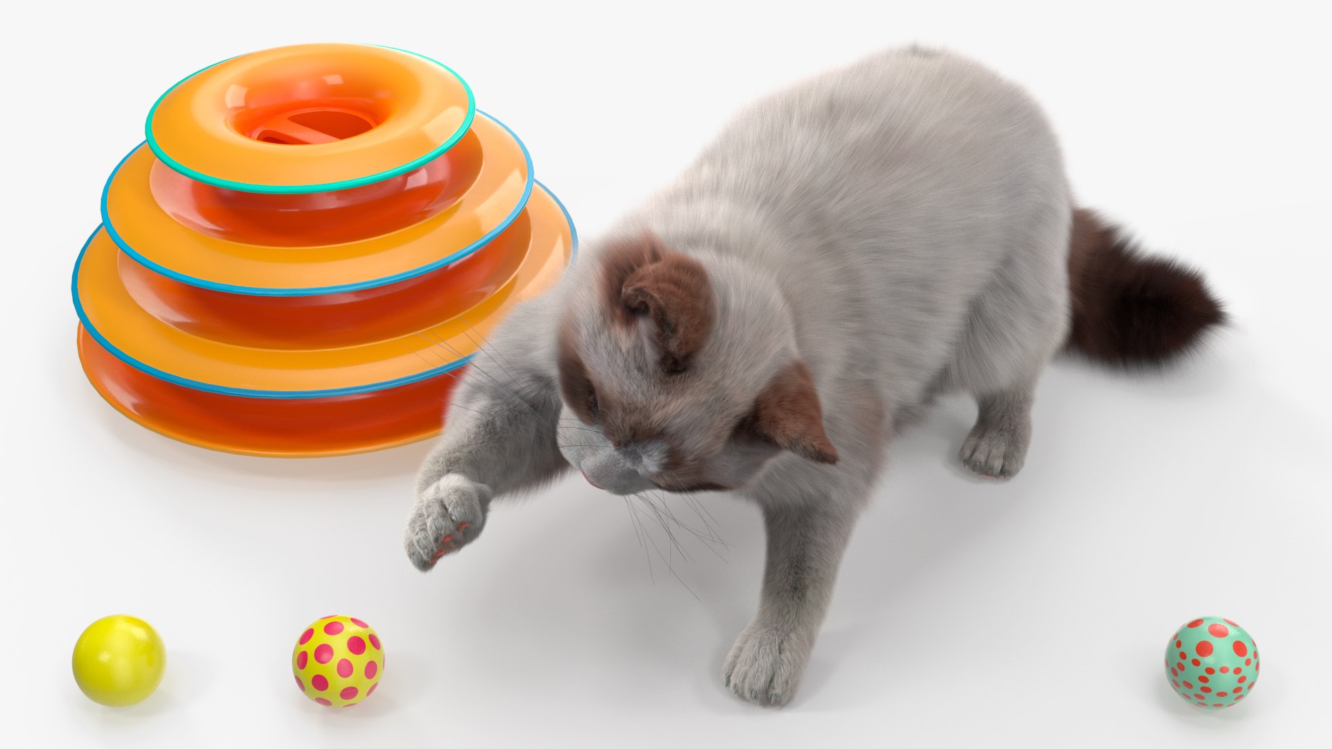 3D Ragdoll Cat Playing With Tower Track Toy Fur For Maya - TurboSquid ...