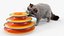 3D Ragdoll Cat Playing with Tower Track Toy Fur for Maya