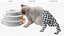 3D Ragdoll Cat Playing with Tower Track Toy Fur for Maya