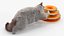 3D Ragdoll Cat Playing with Tower Track Toy Fur for Maya