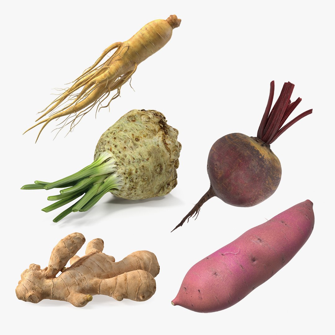 Roots Collection 3 3D model preview