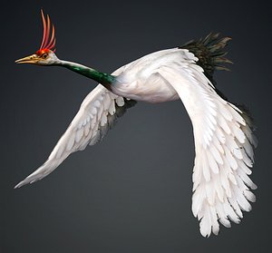 Crane Bird-B3