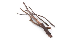 Heap of Dry Branches model