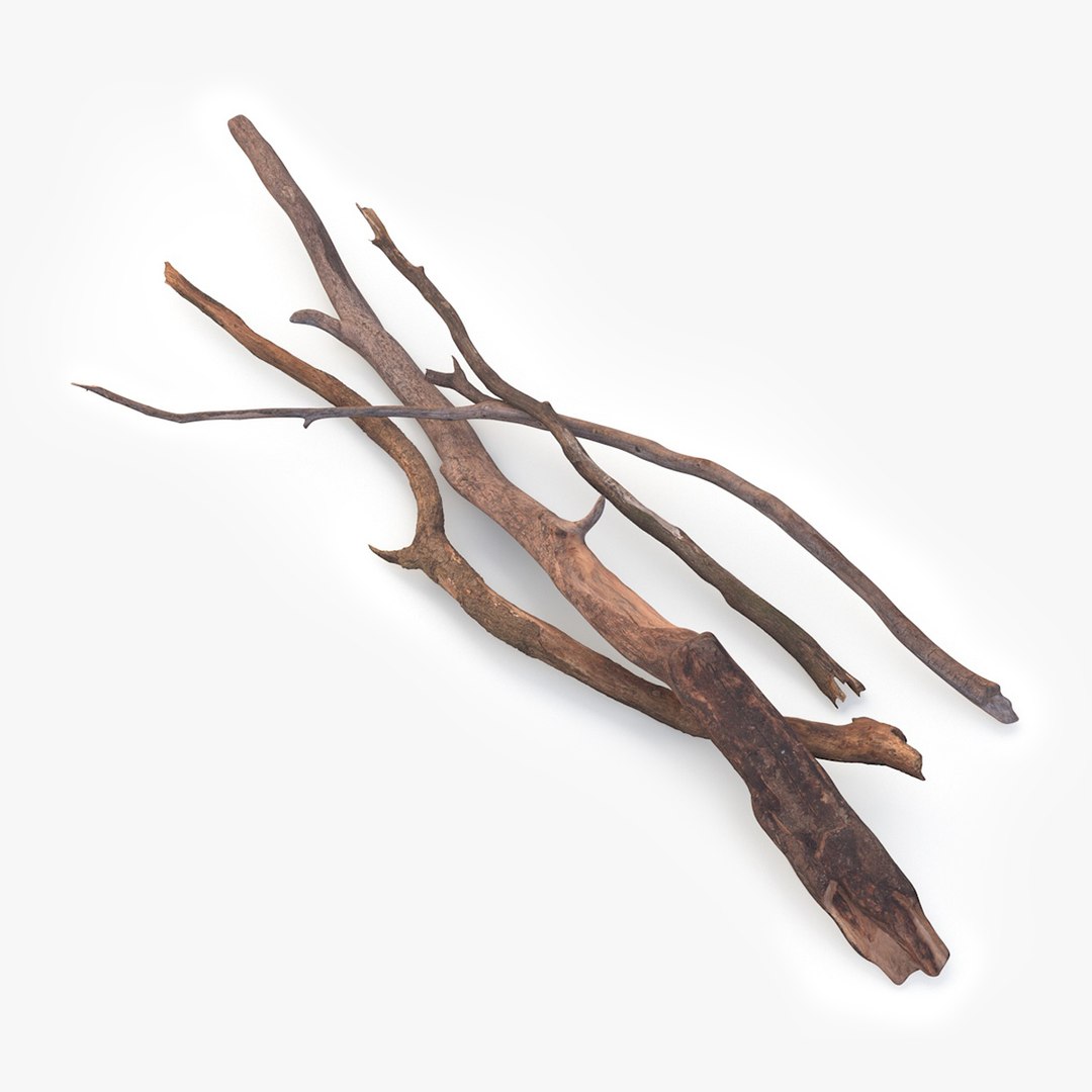 Heap of Dry Branches 3D model preview
