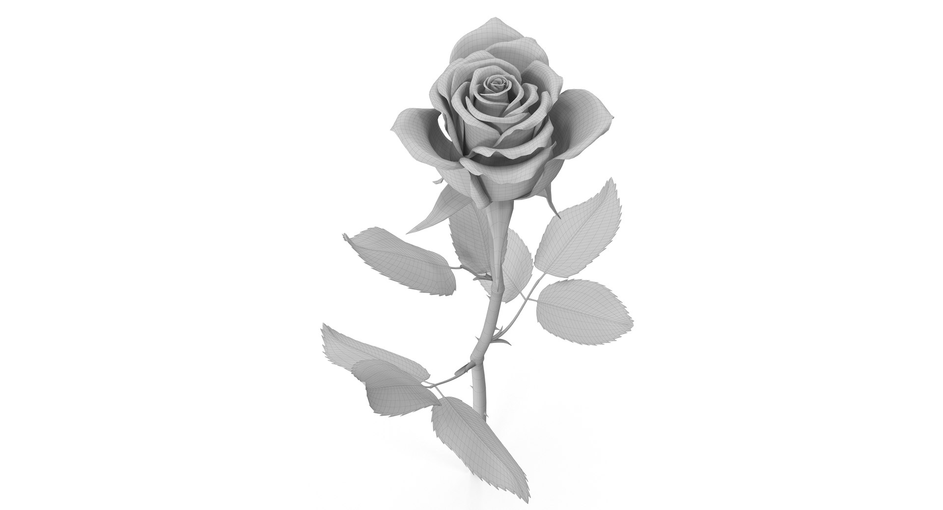 Rose flower 3D - TurboSquid 547580