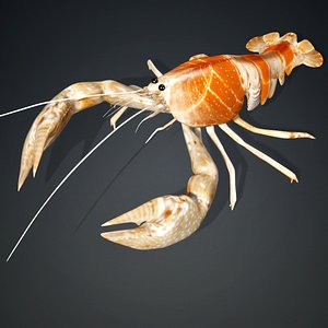3D model Lobster-A2