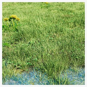 3D model Realistic Grass Pack - CGrass v2