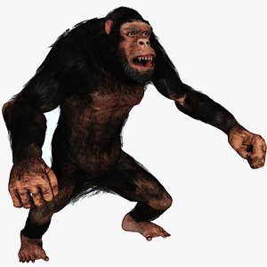 Gorilla tag - Gorilla: textured, rigged, colour - Download Free 3D model by  asduf28349 (@asduf28349) [43404d6]