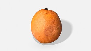 fruit orange - photoscanned 3D model