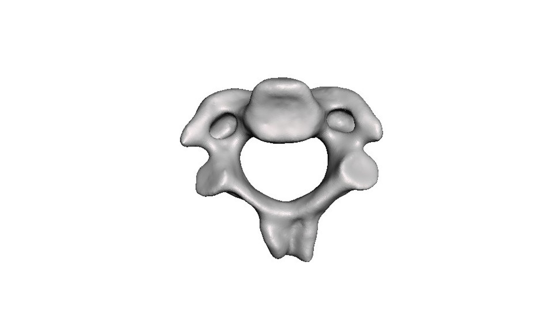 3D surgeries neck anatomy https://p.turbosquid.com/ts-thumb/a6/mKcCrt/0WwHm9CI/7/jpg/1599504879/1920x1080/fit_q87/dafe985dc83aa78202b1b4335770b0eedf3d0d2c/7.jpg
