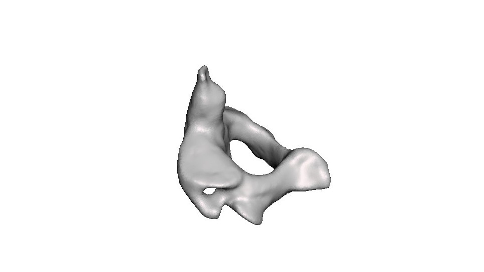 3D surgeries neck anatomy https://p.turbosquid.com/ts-thumb/a6/mKcCrt/5Bfh6Ad6/4/jpg/1599504832/1920x1080/fit_q87/4f179a623833eb81519b13594fa6a57e873a4218/4.jpg