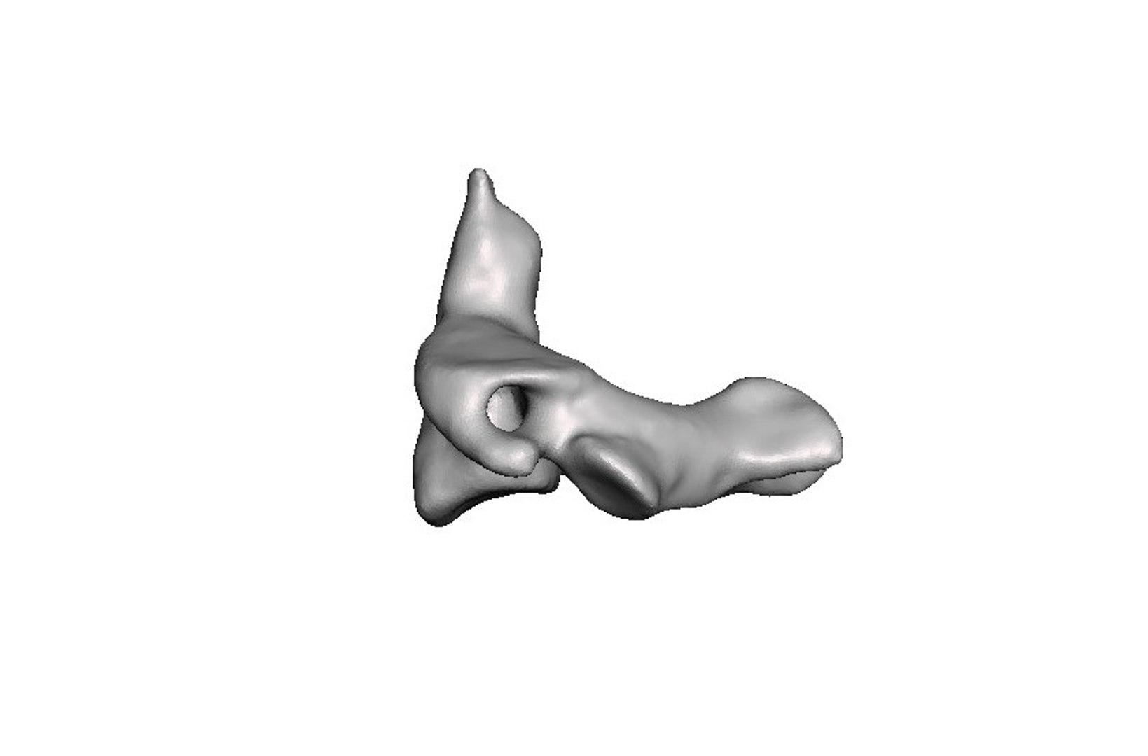 3D surgeries neck anatomy https://p.turbosquid.com/ts-thumb/a6/mKcCrt/E7i7usKn/3/jpg/1599504814/1920x1080/fit_q87/da3db15456d583023c2b62a26ea041651b6c593d/3.jpg