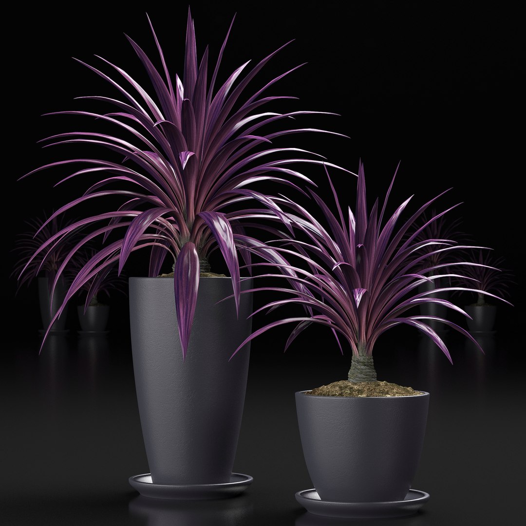 Plant 16 3d Model