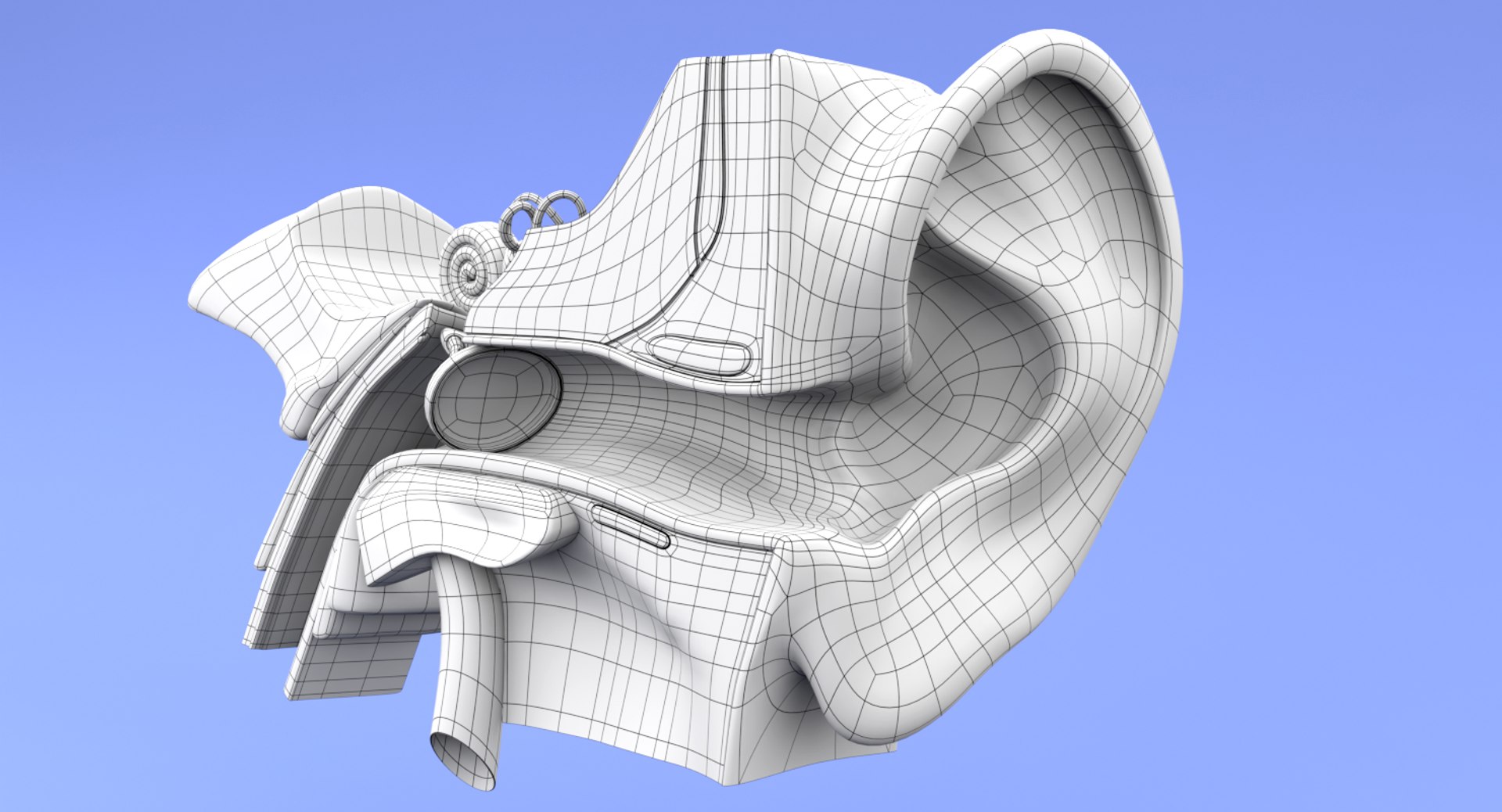 ear tympanum 3D https://p.turbosquid.com/ts-thumb/a7/8tvuVM/vcqwaGhb/wireframeimageearanatomy01/png/1552333445/1920x1080/fit_q87/759868e638d734d85482c924e21b956fc5a38e41/wireframeimageearanatomy01.jpg