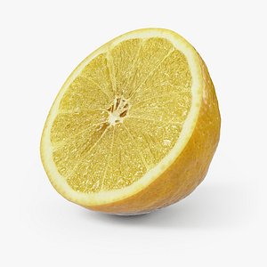 Lemon Half model
