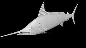 marlin