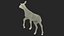 Potro de zebra andando de pele para cinema 4D