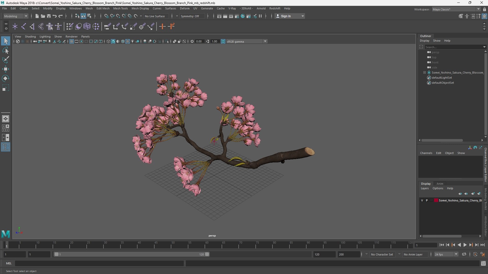 Somei Yoshino Sakura Cherry Blossom Branch Pink 3D https://p.turbosquid.com/ts-thumb/a7/Tx0Umj/Al/somei_yoshino_sakura_cherry_blossom_branch_pink_1002/jpg/1772005909/1920x1080/fit_q87/2bc6ba1b662e3a47aa1a605107f37493cb51c233/somei_yoshino_sakura_cherry_blossom_branch_pink_1002.jpg