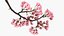 Somei Yoshino Sakura Kirschblütenzweig Rosa