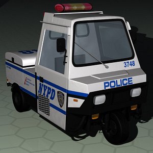 NYPD Meter-reader (LW)
