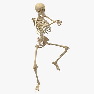 Real Human Female Skeleton Pose 91 3D model