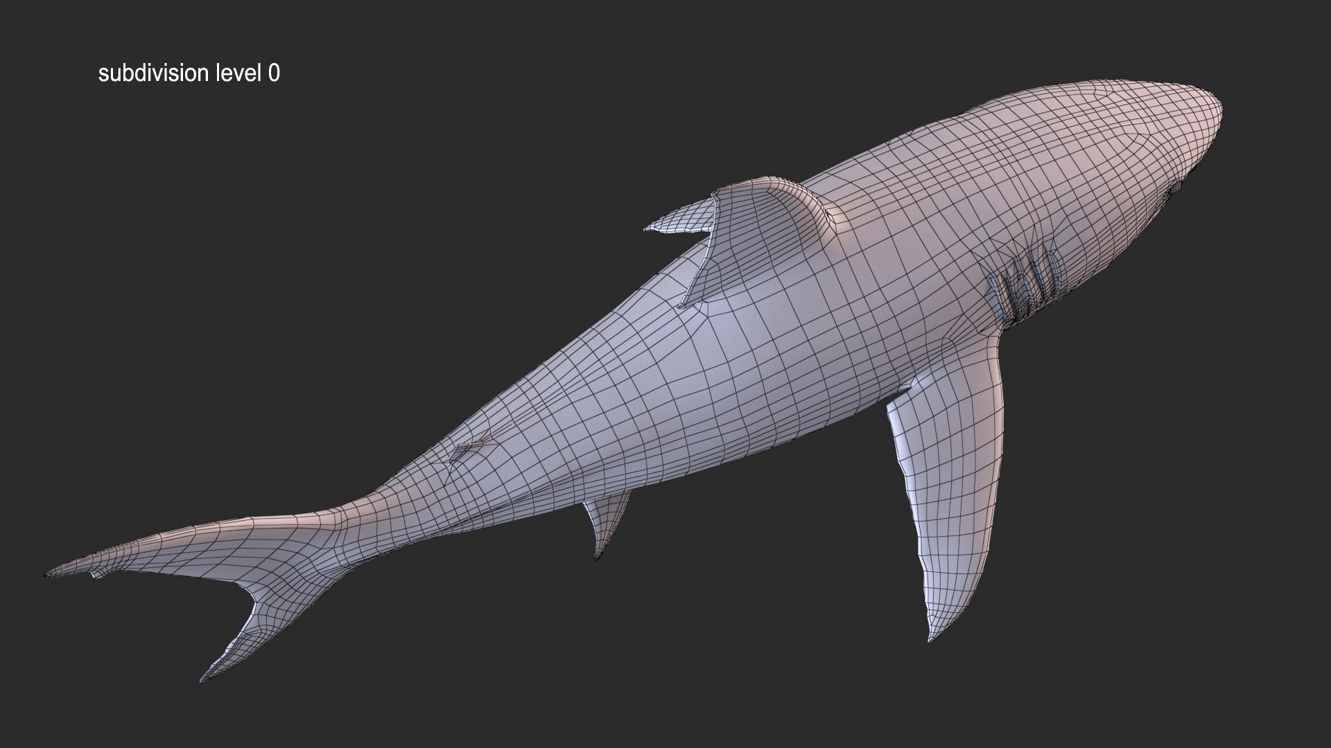 Shark 3D TurboSquid 2055867
