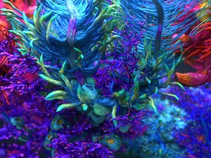 plants ocean - alien 3D model