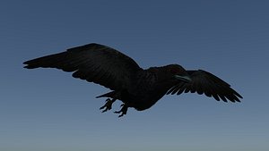 Crow