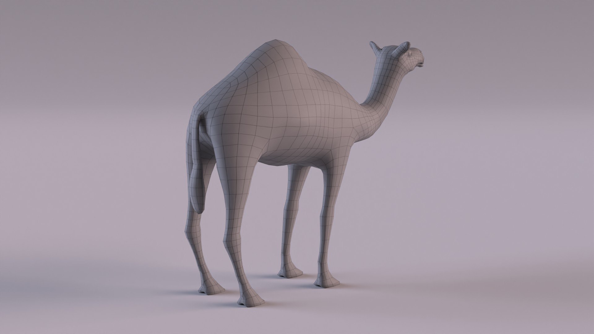 Camel 3D Model - TurboSquid 1990023