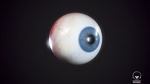 3D Eyeball Realistic model