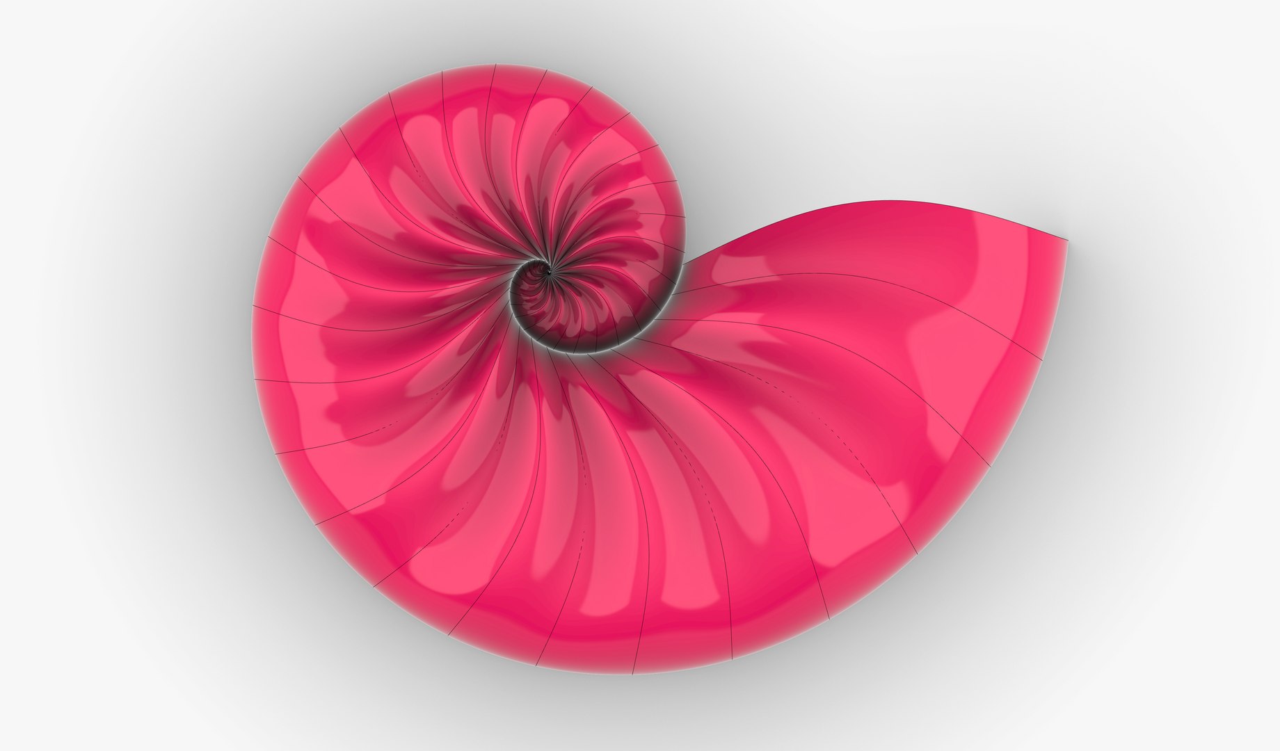 3D Parametric Seashell Model - TurboSquid 1818569