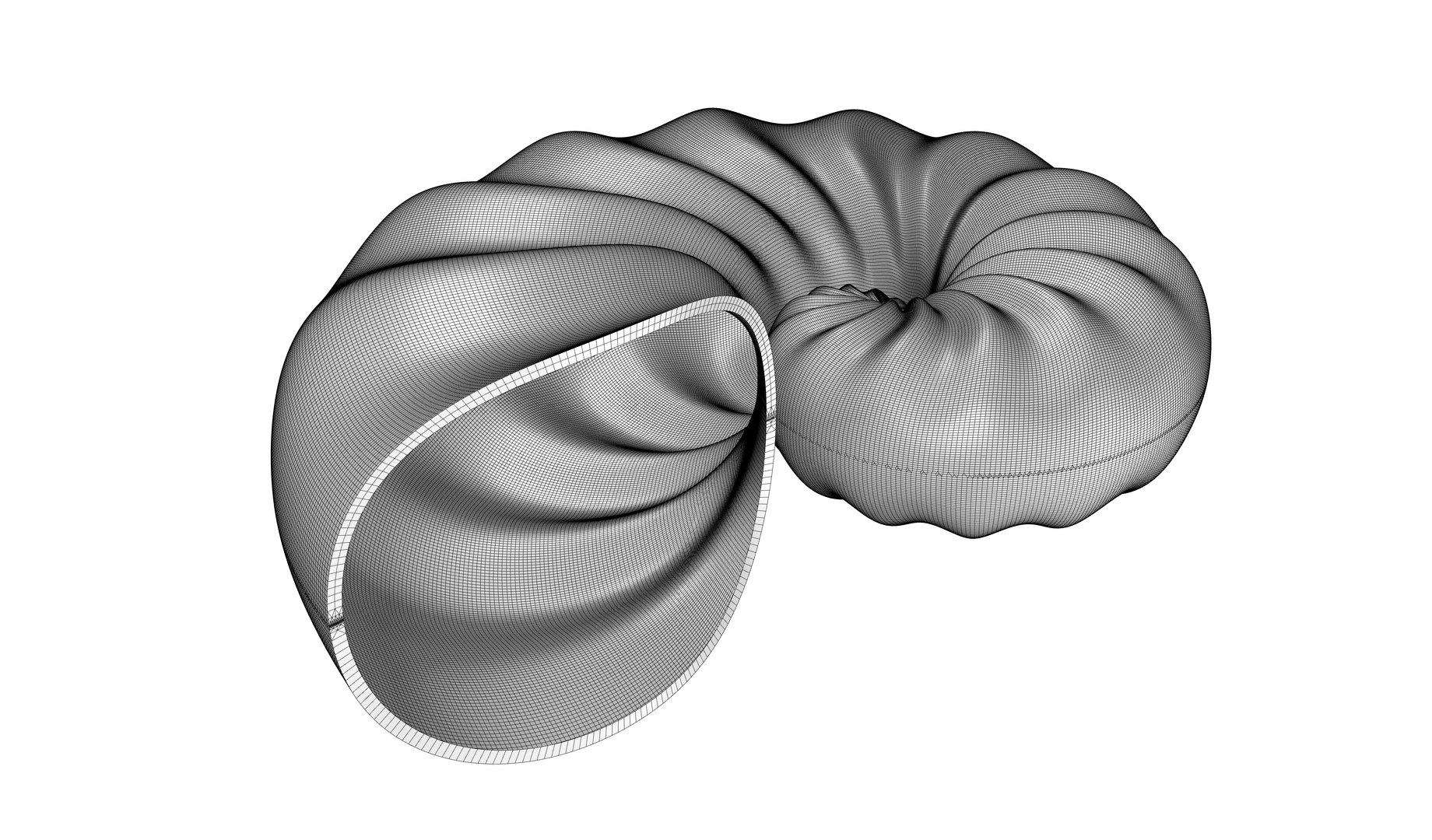 3D Parametric Seashell Model - TurboSquid 1818569