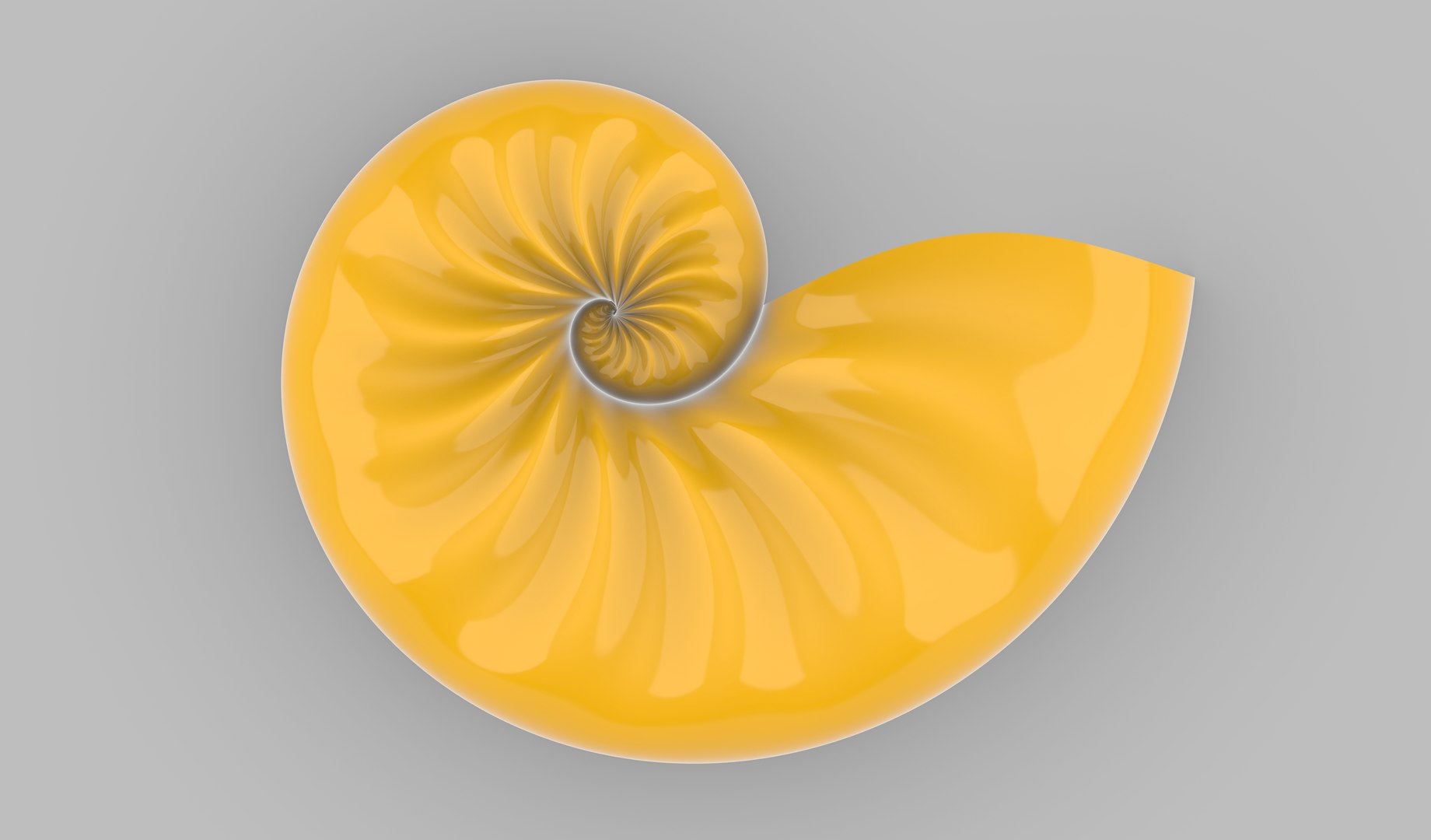 3D Parametric Seashell Model - TurboSquid 1818569