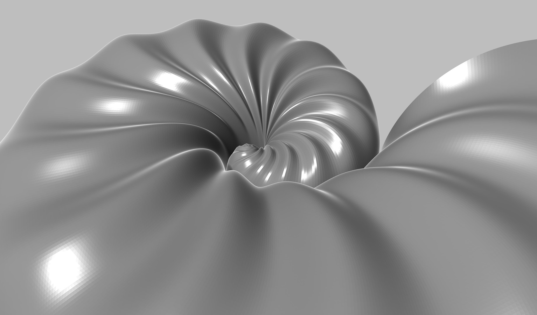 3D Parametric Seashell Model - TurboSquid 1818569