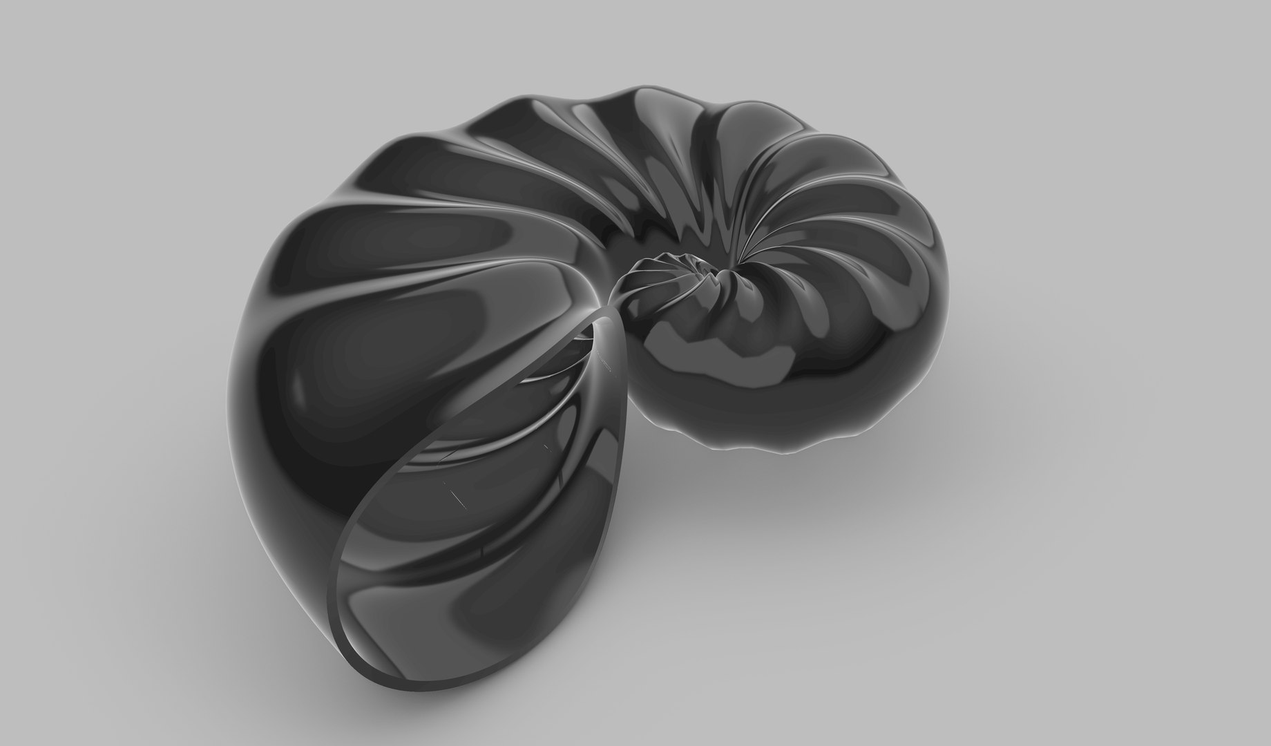 3D Parametric Seashell Model - TurboSquid 1818569