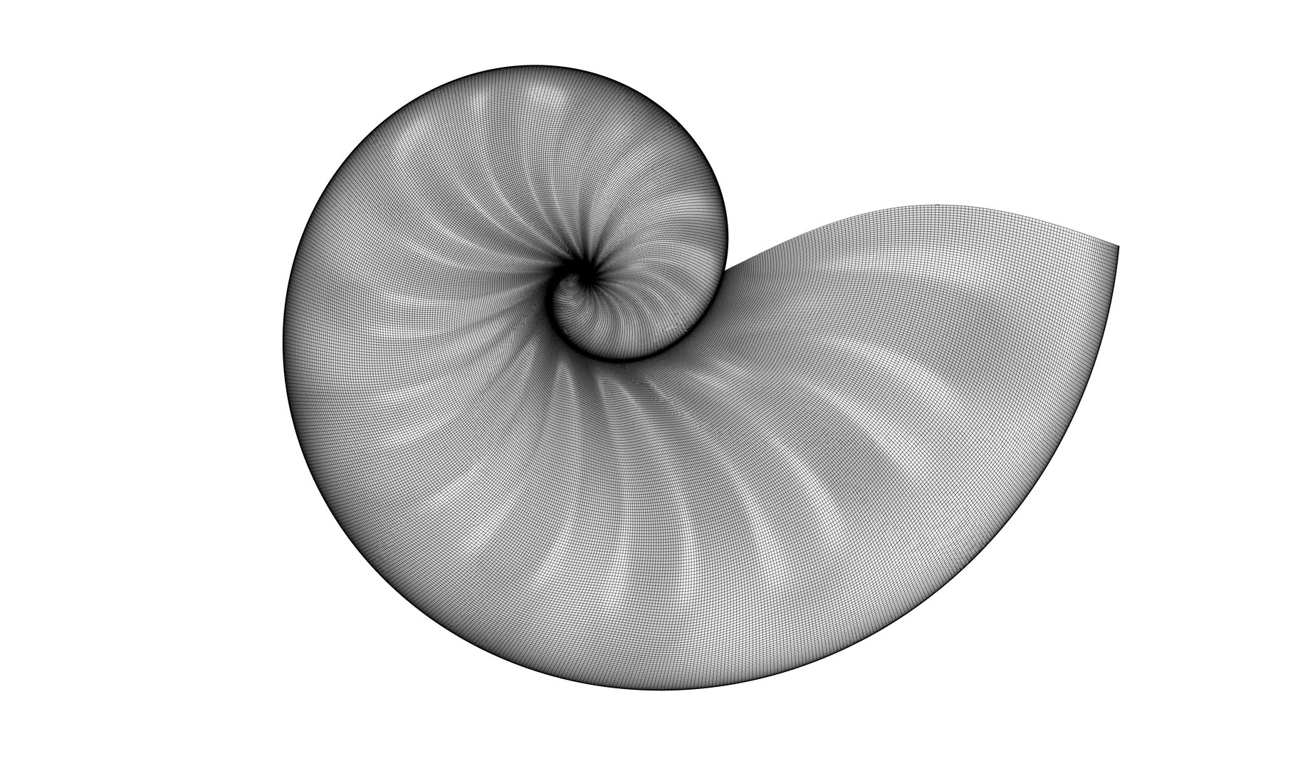 3D Parametric Seashell Model - TurboSquid 1818569