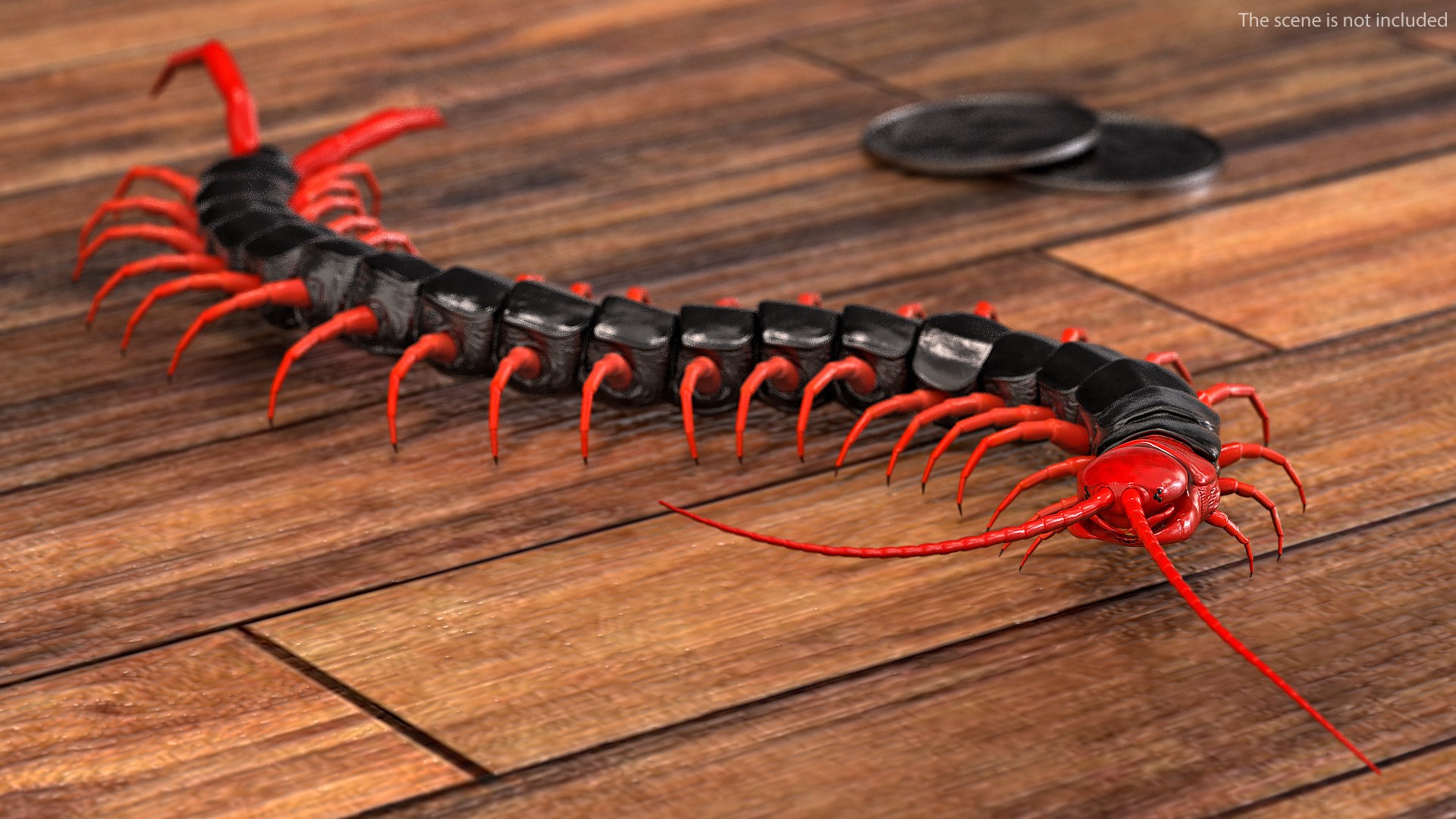 insects big 5 collections 3D model https://p.turbosquid.com/ts-thumb/a8/NZDPHi/52YSVZ28/insectsbigcollection5vray3dmodel005/jpg/1595402122/1920x1080/fit_q87/249f82c10450a52eb9372b825a388c318d5e25a0/insectsbigcollection5vray3dmodel005.jpg